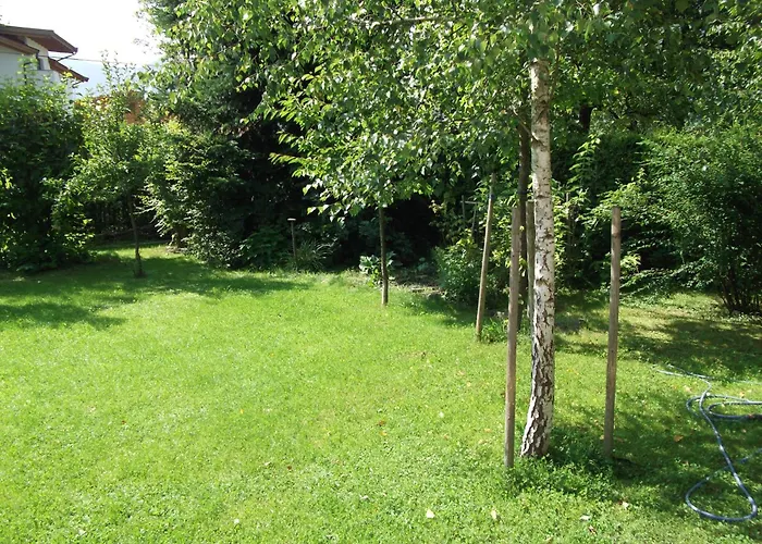 Sagzahnblick